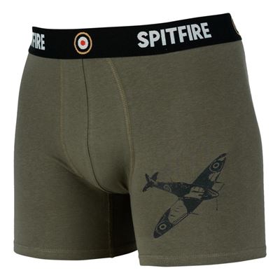 Boxer SPITFIRE VERDI FOSTEX 114287 2