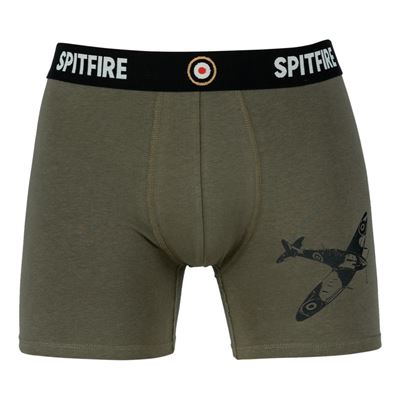 Boxer SPITFIRE VERDI