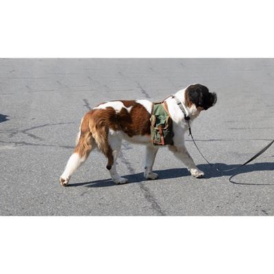 Borsa/sacca per cani in tela usata VERDE