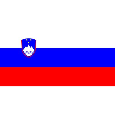 Bandiera nazionale SLOVENIA