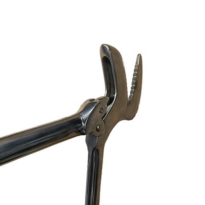 Forbici per bendaggi in gesso NEREZ CHIRANA 40 cm  175140 2