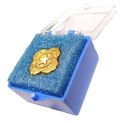 Distintivo US STAR Esercito americano 1785681 3