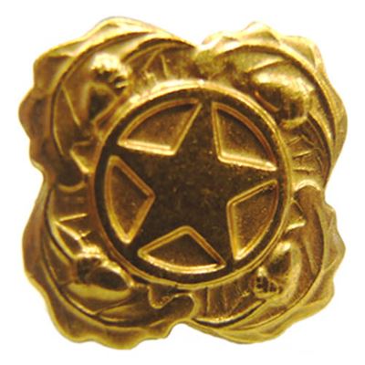 Distintivo US STAR