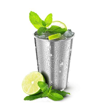 Bicchieri in acciaio inossidabile LIVINGSTONE, set da 4 pezzi, 475 ml Origin Outdoors 179683 4