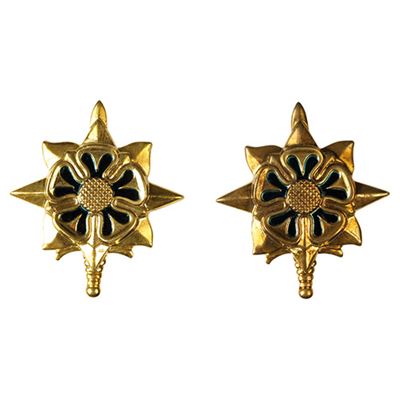 Distintivo ufficiale statunitense. INTELLIG.ZLATÝ