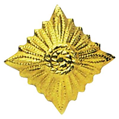 Distintivo di grado NVA stella GOLD - ORO