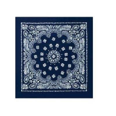 Sciarpa 55 x 55 cm TRAINMEN NAVY blu scuro