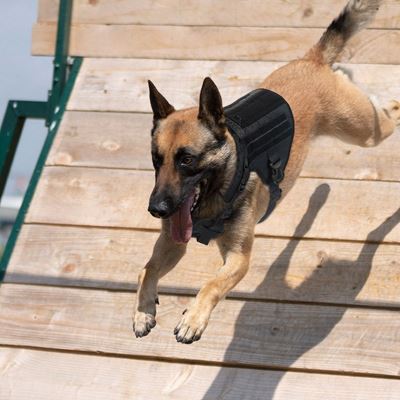 Imbracatura tattica per cane K9 NERA