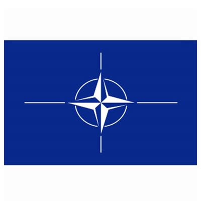 Bandiera NATO
