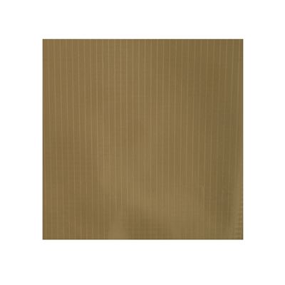 Poncho US rip-stop 140 x 225 cm COYOTE BROWN ROTHCO 4938 2