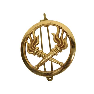 Distintivo francese SERVICE DES ESSENCES