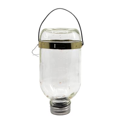 Bottiglia di vetro per infusione da 500 ml con tappo e supporto