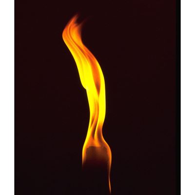 Torce di cera 4 pezzi 3x50 cm (100 min) basic NATURE 820300 5