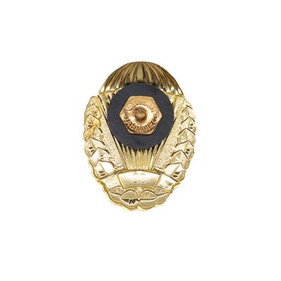 Distintivo PARA Classificazione di paracadutismo ORO III° grado Esercito ceco 86367-Z-III 2