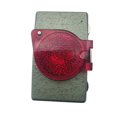 Torcia della polizia MY DAY con copertura rossa VERDE-ARGENTO