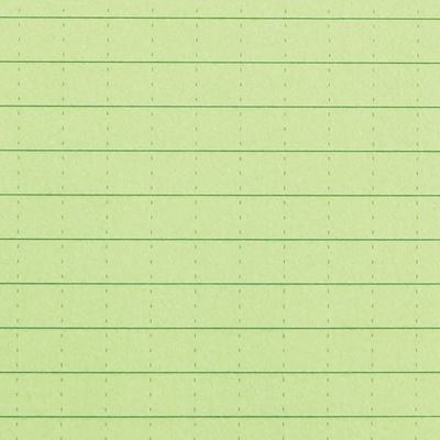 Blocco impermeabile RITE IN THE RAIN Memo Book VERDE RITE IN THE RAIN RR-954 3