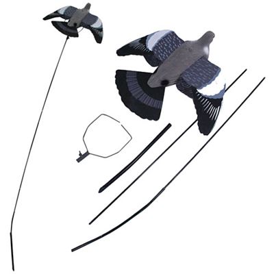 Richiamo HOLUB LETÍCÍ set