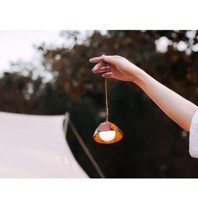 Lampada ricaricabile ACORN LIGHT NexTool NE20252 12