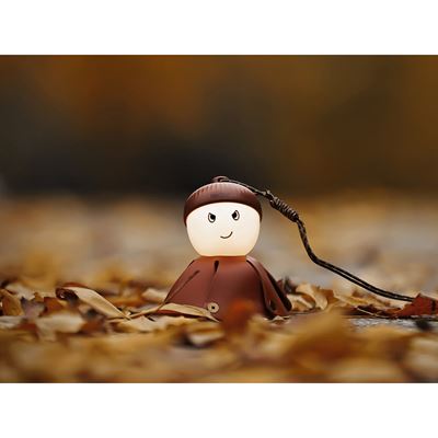 Lampada ricaricabile ACORN LIGHT NexTool NE20252 11