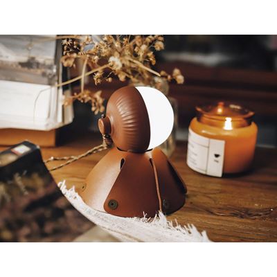 Lampada ricaricabile ACORN LIGHT NexTool NE20252 10