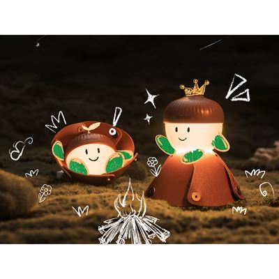 Lampada ricaricabile ACORN LIGHT NexTool NE20252 5