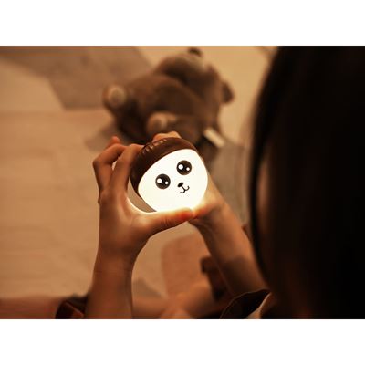 Lampada ricaricabile ACORN LIGHT NexTool NE20252 15