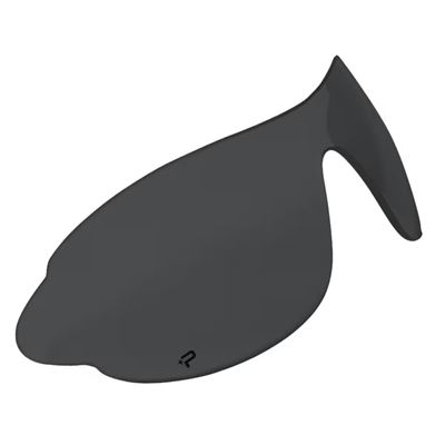 Lenti di ricambio per occhiali RAIDER SMOKE fumé