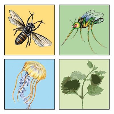 Bastoncino lenitivo contro il prurito causato dalle punture di insetti Bite Relief Lotion  TS-93 2