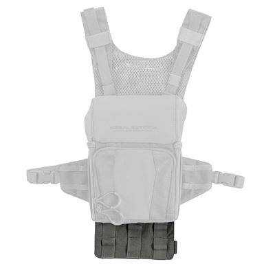 Pannello RECON MOLLE GRIGIO EBERLESTOCK ZA6GY 2