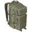 Zaino ASSAULT I piccolo 30 ltr. VERDE